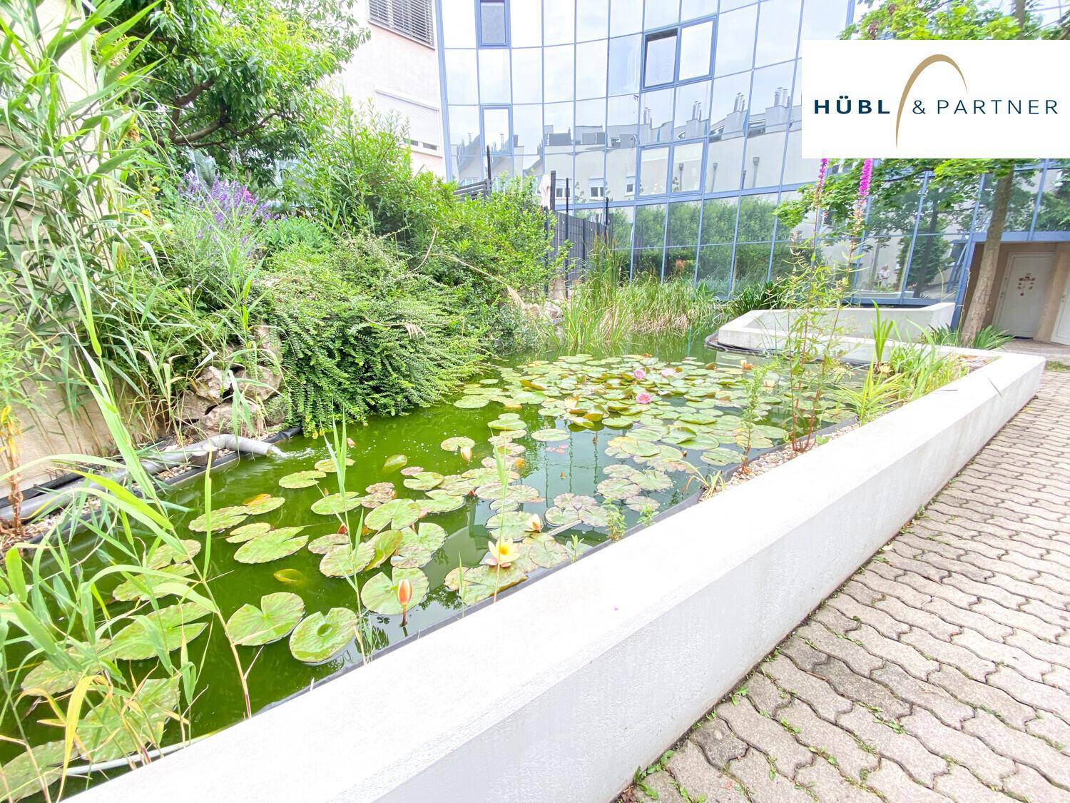 Angelegter Teich mit Seerosen und moderner Architektur im Hintergrund, umgeben von Grün.