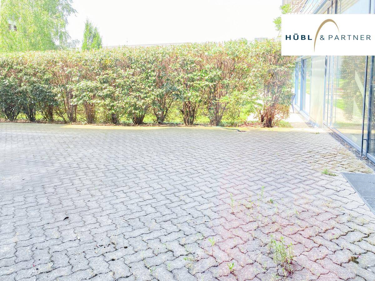 Gepflasterter Außenbereich vor dem Gebäude, umgeben von einer dichten grünen Hecke.