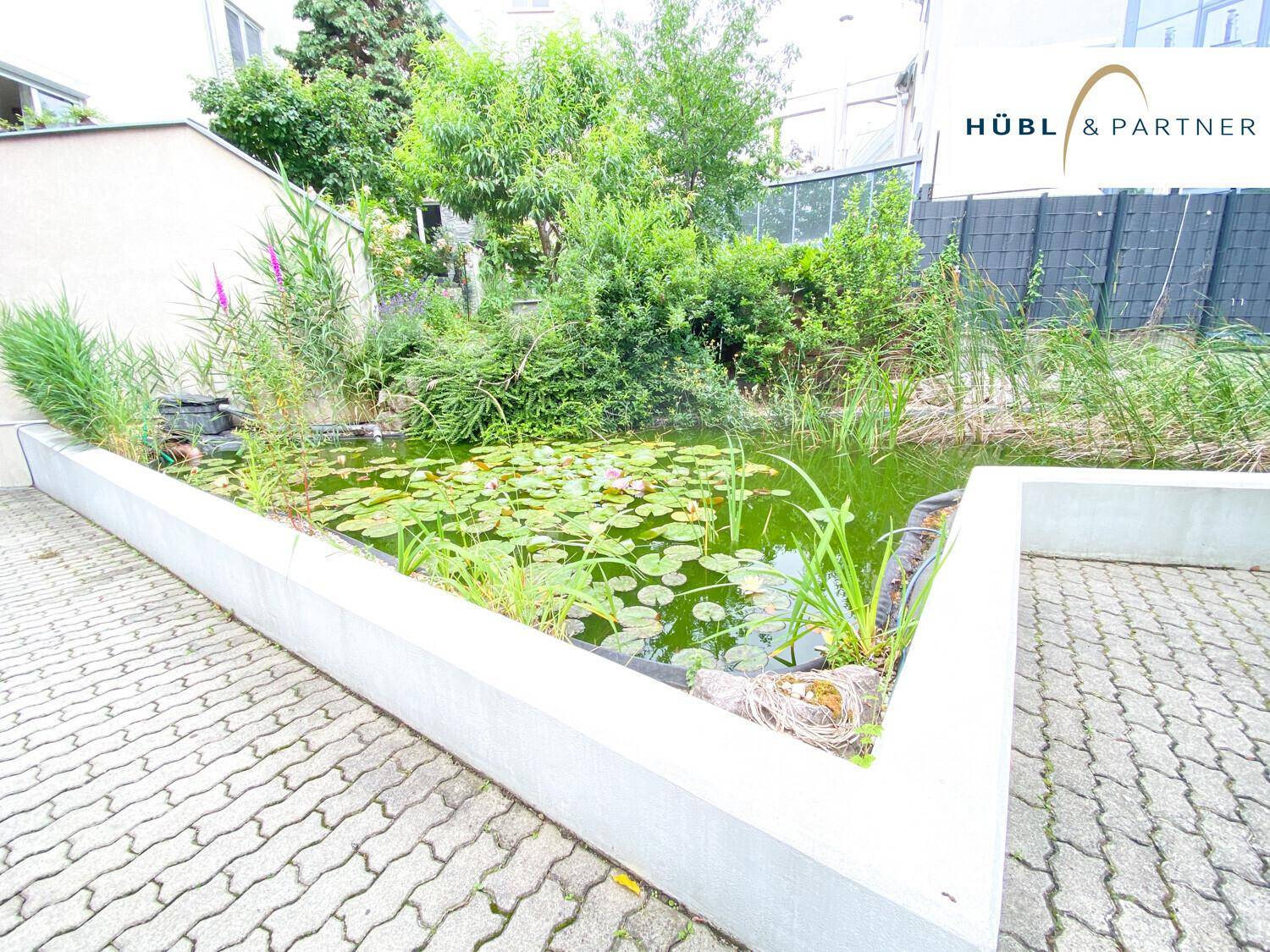 Eckansicht des Gartenteichs mit Seerosen und gepflastertem Bereich, umgeben von Pflanzen.