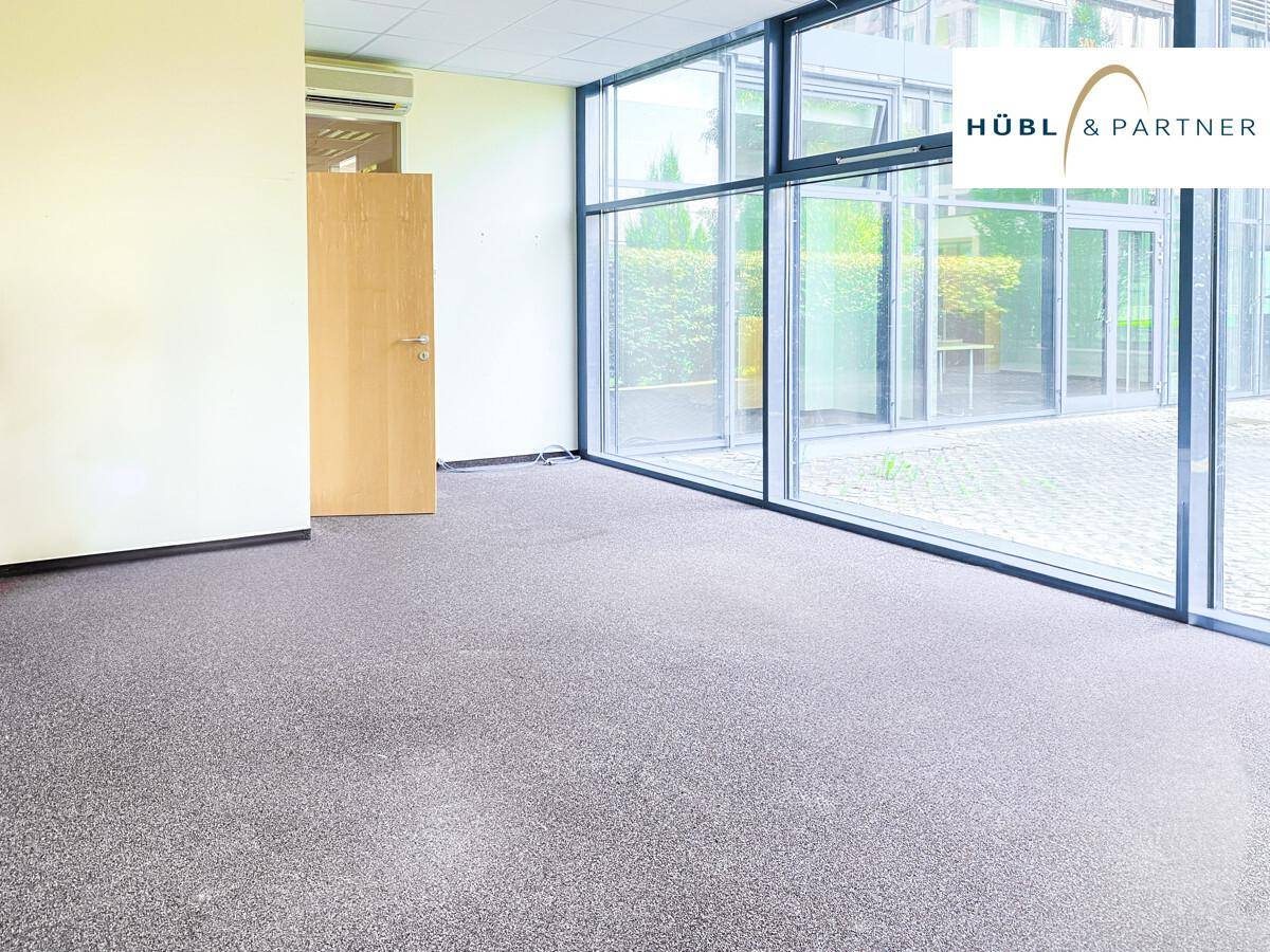 Heller Büroraum mit Teppichboden und großen Fenstern, die viel Tageslicht hereinlassen.
