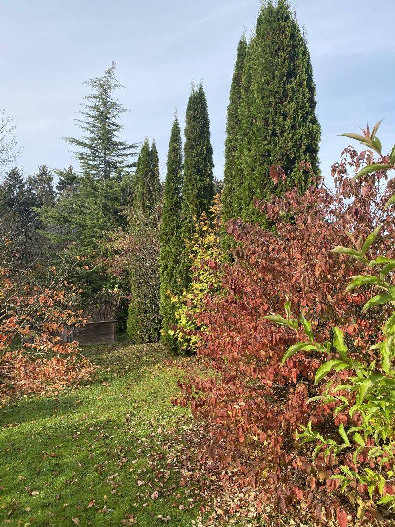 Landhausvilla Mattsee - Seeblick