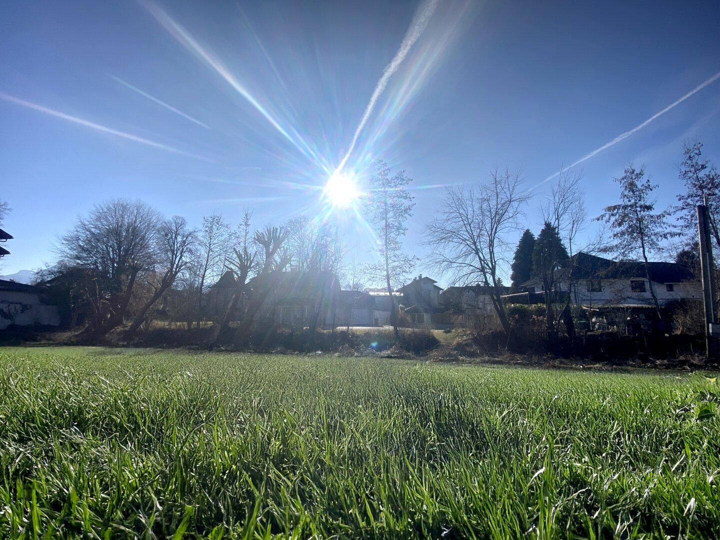 Weitläufige grüne Wiese unter strahlend blauem Himmel mit Sonnenschein und Häusern im Hintergrund.