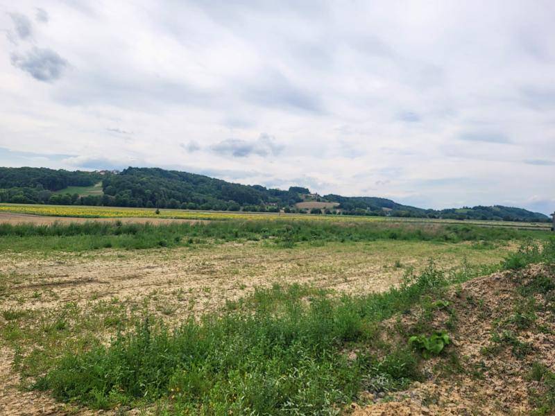 Grüne Vegetation auf einem Feld mit bewaldeten Hügeln im Hintergrund unter einem wolkigen Himmel.