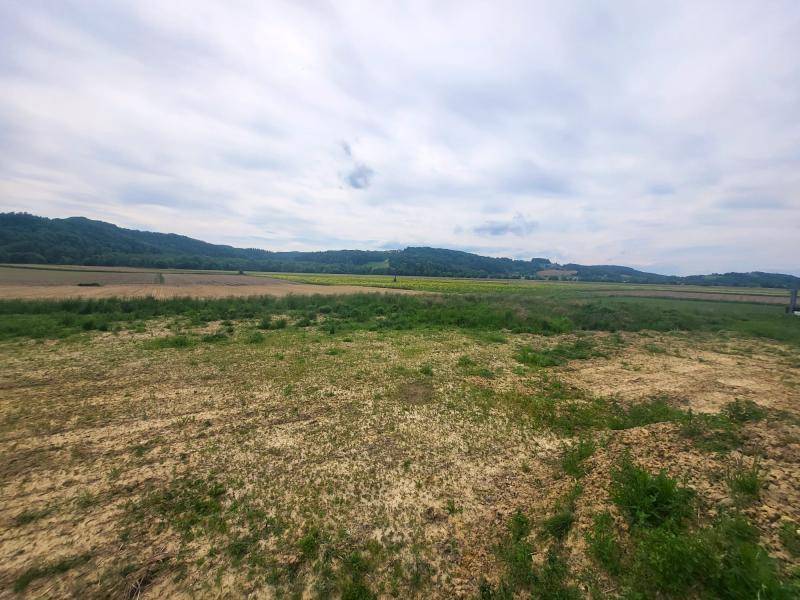 Panoramablick über weite Felder und sanfte Hügel unter einem bedeckten Himmel.