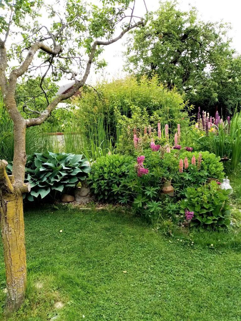 Einfamilienhaus_connexa_12.jpg