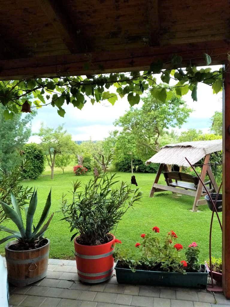 Einfamilienhaus_connexa_20.jpg