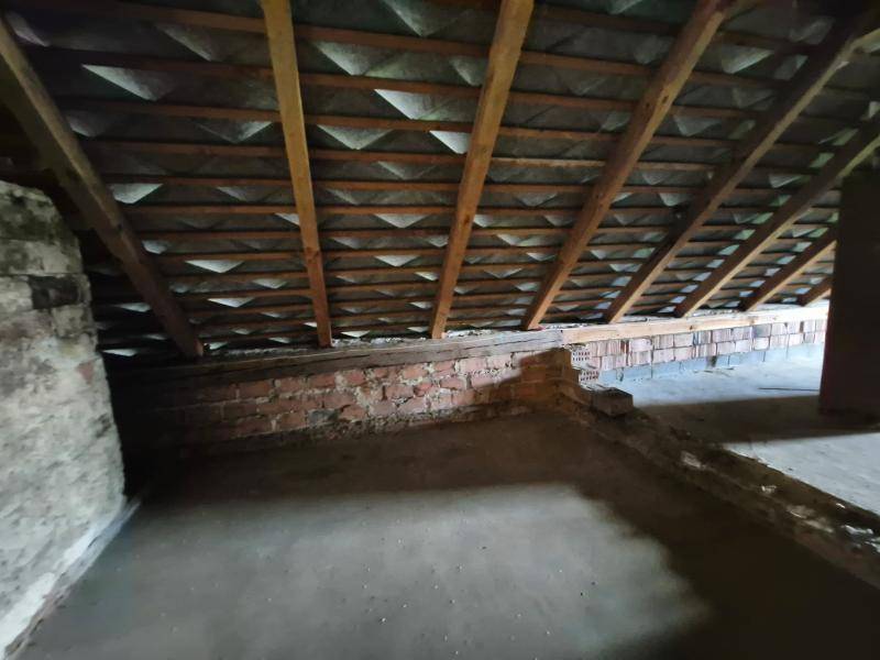 Einfamilienhaus_connexa_54.jpg