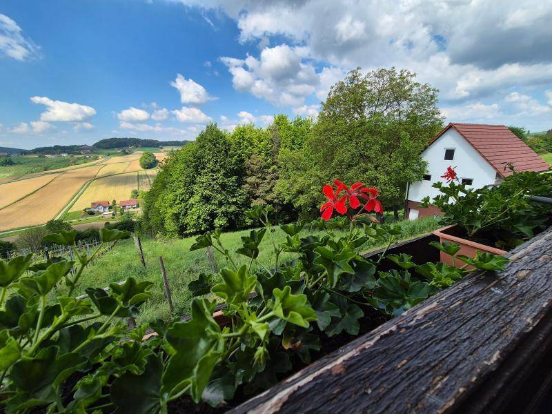 Einfamilienhaus_connexa_39.jpg