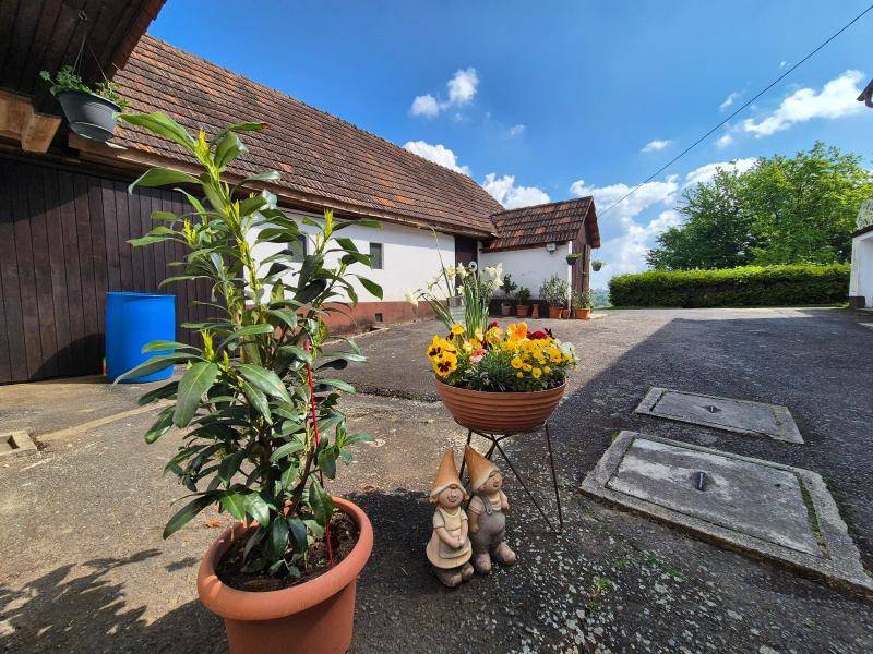 Einfamilienhaus_connexa_13.jpg