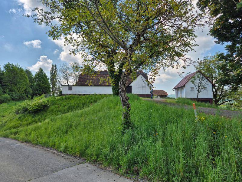 Einfamilienhaus_connexa_10.jpg