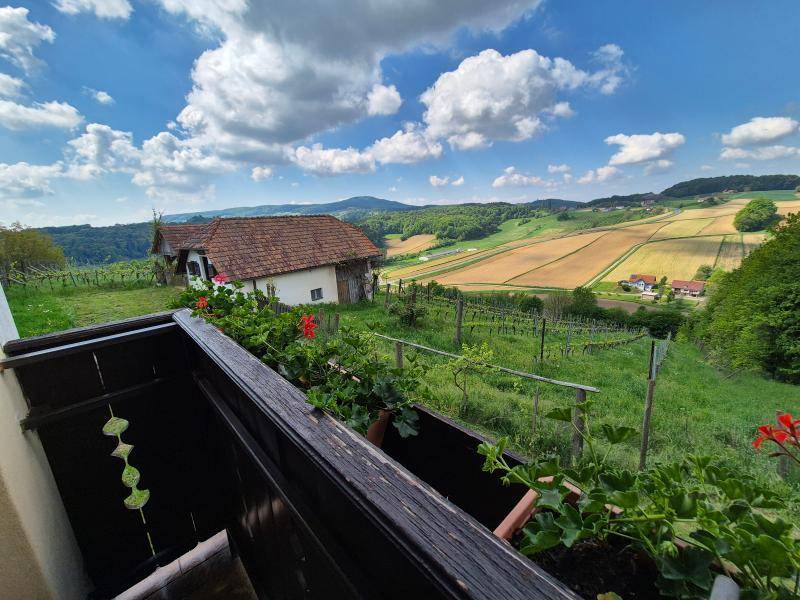 Einfamilienhaus_connexa_38.jpg