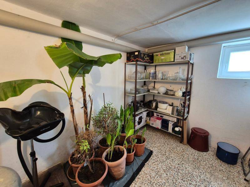 Einfamilienhaus_connexa_48.jpg