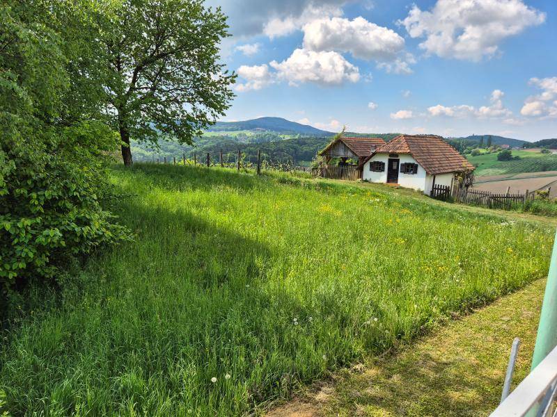 Einfamilienhaus_connexa_39.1.jpg