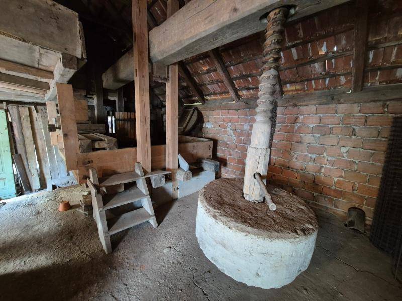 Einfamilienhaus_connexa_60.jpg