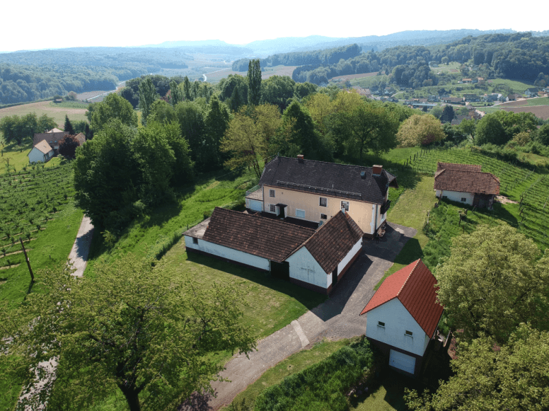 Einfamilienhaus_connexa_1.png