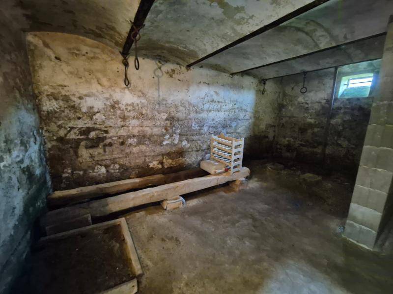 Einfamilienhaus_connexa_63.jpg