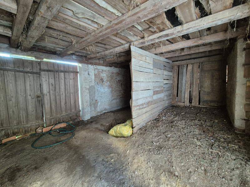 Einfamilienhaus_connexa_57.jpg