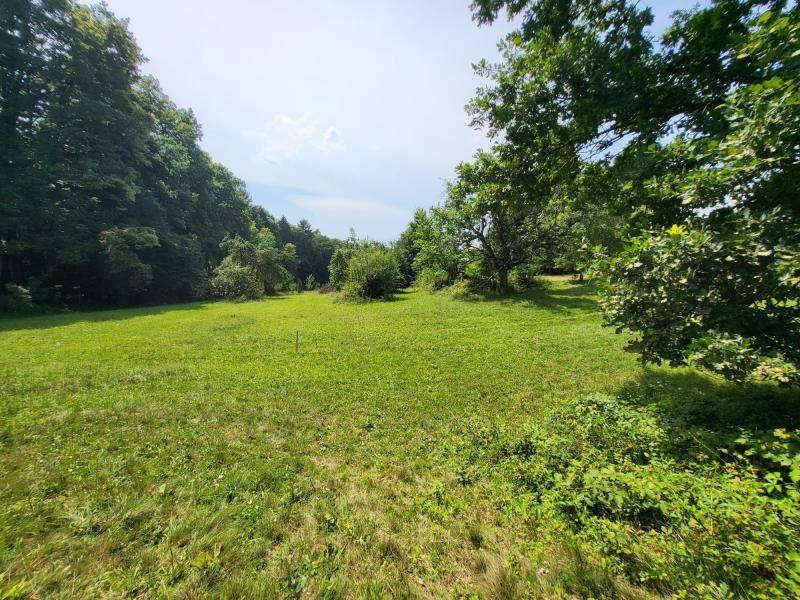 Weitläufige grüne Wiese umgeben von Bäumen unter einem hellen Himmel, ideal für Naturliebhaber.