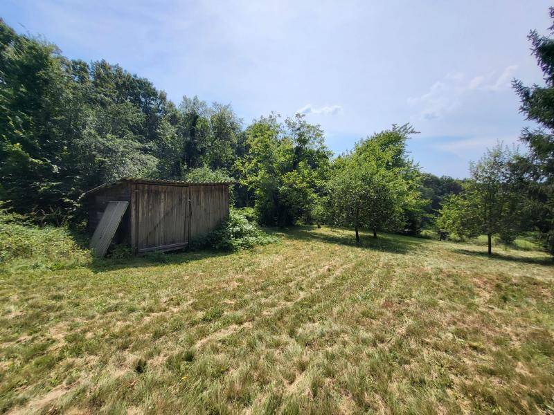 Kleiner Holzschuppen auf einer weitläufigen Wiese, umgeben von üppigem Grün und Bäumen.