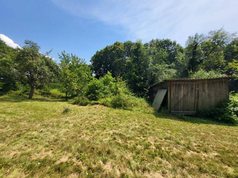 Rustikaler Holzschuppen am Rande einer grünen Wiese, umgeben von Bäumen unter blauem Himmel.
