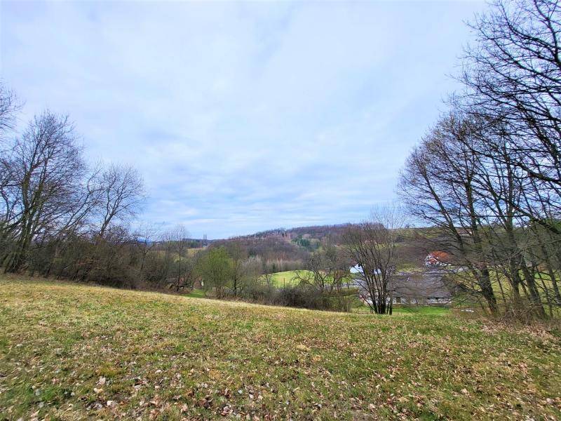 Weitläufiges Grundstück mit grüner Wiese, Bäumen und Blick auf die umliegende Landschaft.