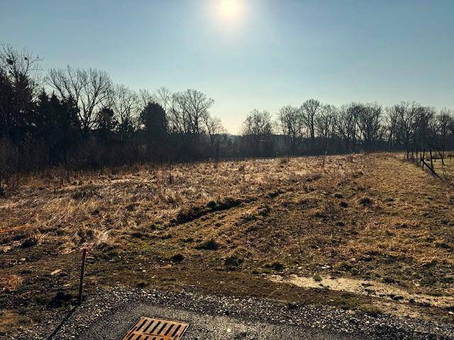 Sonniges, unbebautes Grundstück mit trockener Vegetation, Bäumen und einem Zaun am Horizont.