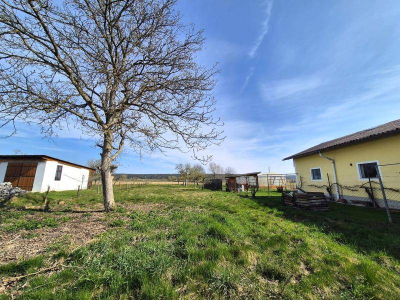 Sonniges Grundstück mit Grasfläche, einem gelben Haus und einem Schuppen im ländlichen Umfeld.