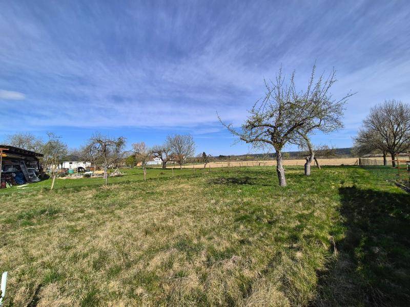 Weitläufiges, sonniges Grundstück mit Grasfläche und Blick auf die offene, grüne Landschaft.