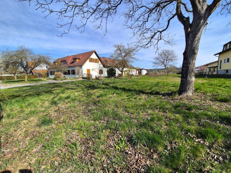 Großes Grundstück mit altem Baumbestand und einem traditionellen Haus im Hintergrund unter blauem Himmel.