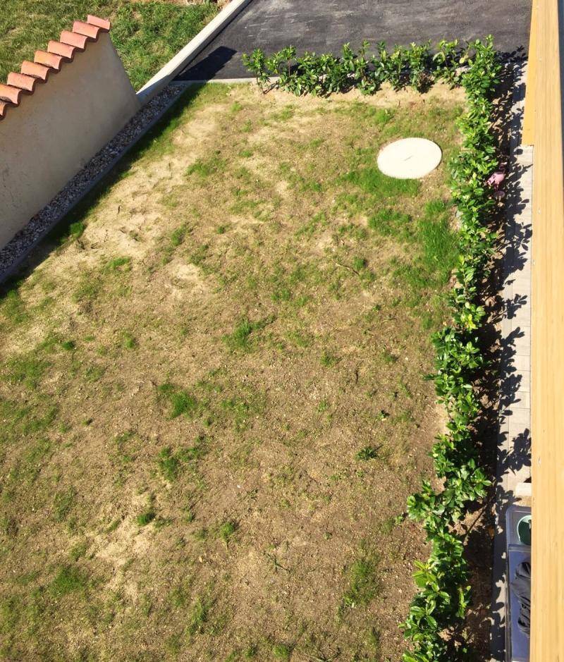 Kleiner Gartenbereich mit spärlichem Rasen und einer jungen Hecke, von oben betrachtet.