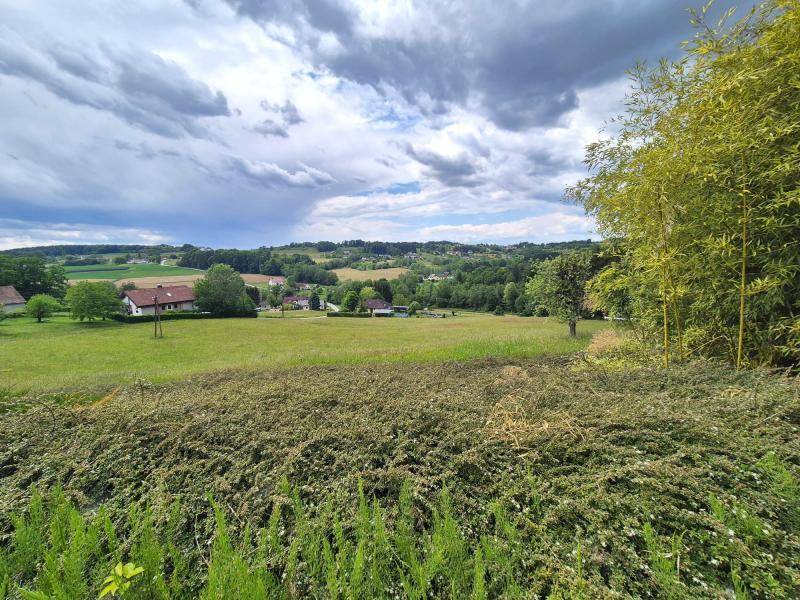 Weitläufiger Blick über grüne Felder und sanfte Hügel mit vereinzelten Häusern unter bewölktem Himmel.