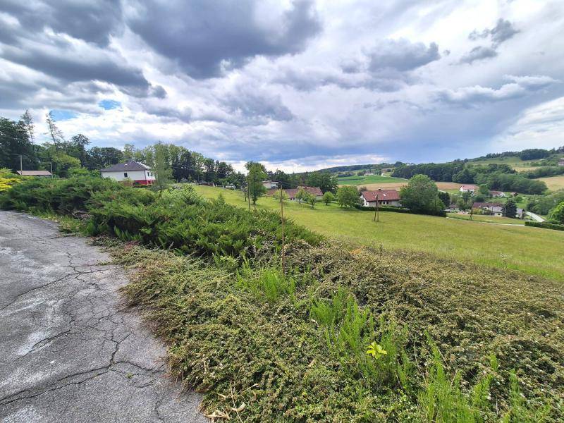 Panoramablick über die ländliche Umgebung mit grünen Feldern, Büschen und entfernten Häusern.