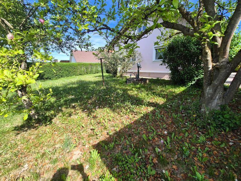 Sonnige Gartenecke mit grüner Wiese, Bäumen und Blick auf das Wohnhaus.