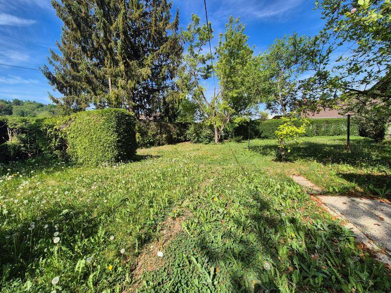 Weitläufiger Gartenbereich mit grüner Wiese, hohen Bäumen und gepflegter Hecke.