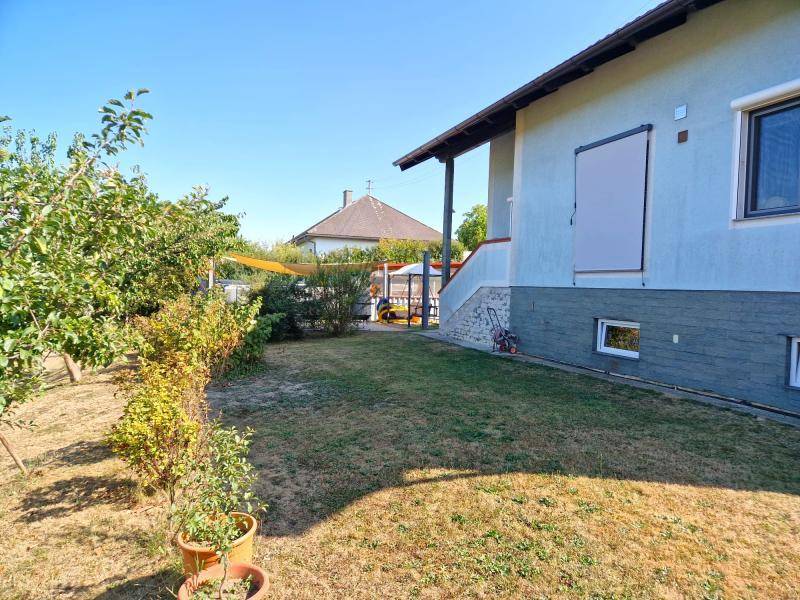 Gepflegter Gartenbereich mit Rasen, Sträuchern und Zugang zum Haus.