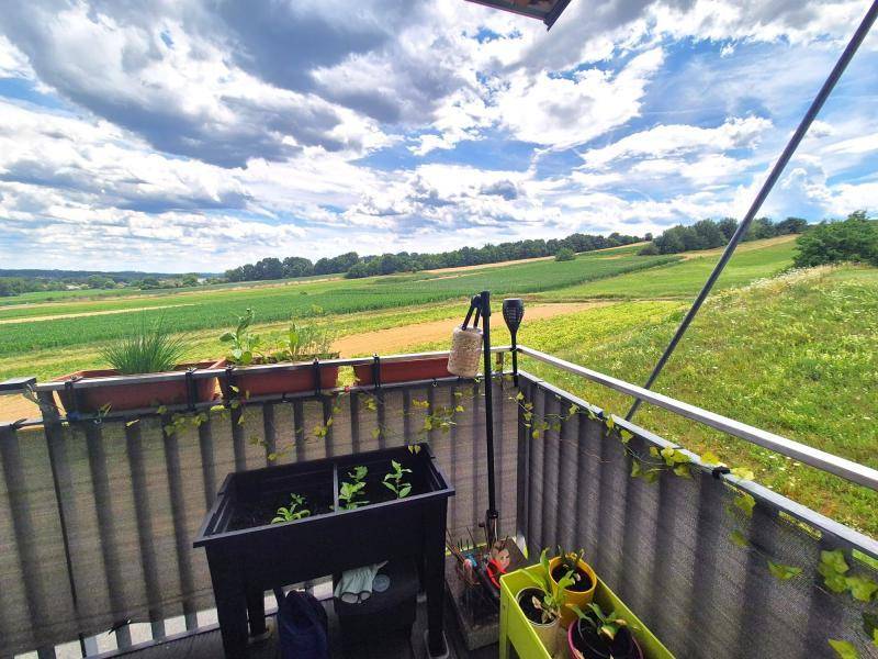 Sonniger Balkon mit Pflanzen und einem weiten, unverbauten Blick über die umliegende Natur.