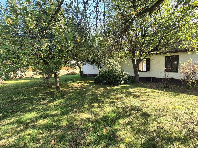 Einfamilienhaus_connexa_4.jpg