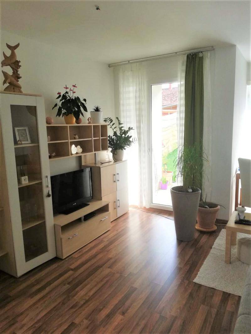Helles Wohnzimmer mit Laminatboden, TV-Möbeln und Zugang zum Außenbereich.