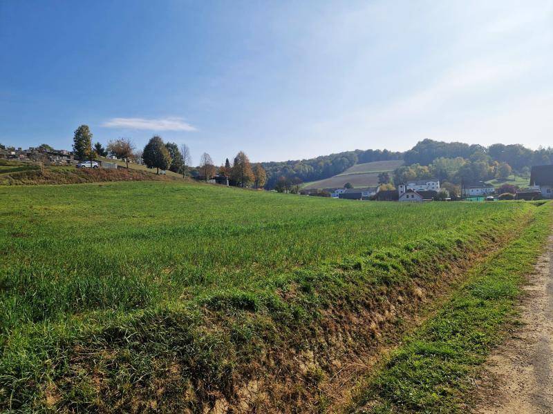 Ausgedehnte grüne Landschaft mit einer Kirche und ländlichen Gebäuden im Hintergrund an einem sonnigen Tag.