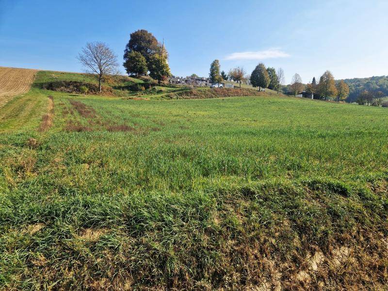 Grüne Wiesen erstrecken sich bis zu einem Hügel mit einer Kirche und einem Friedhof unter klarem Himmel.