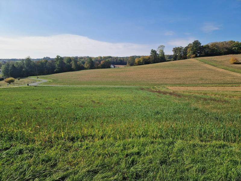 Weitläufige Landschaft mit grünen und braunen Feldern, umgeben von Bäumen und vereinzelten Häusern.