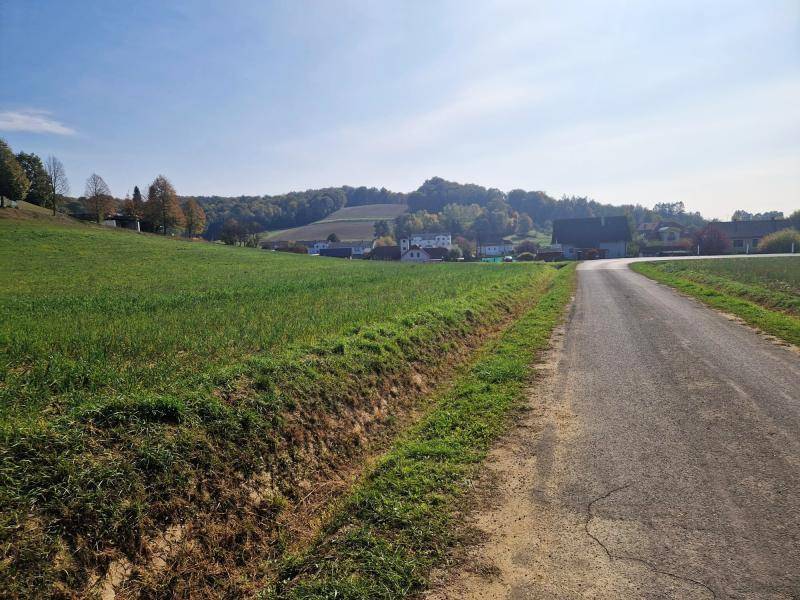 Landstraße führt durch grüne Felder mit Blick auf ein Dorf und bewaldete Hügel in der Ferne.