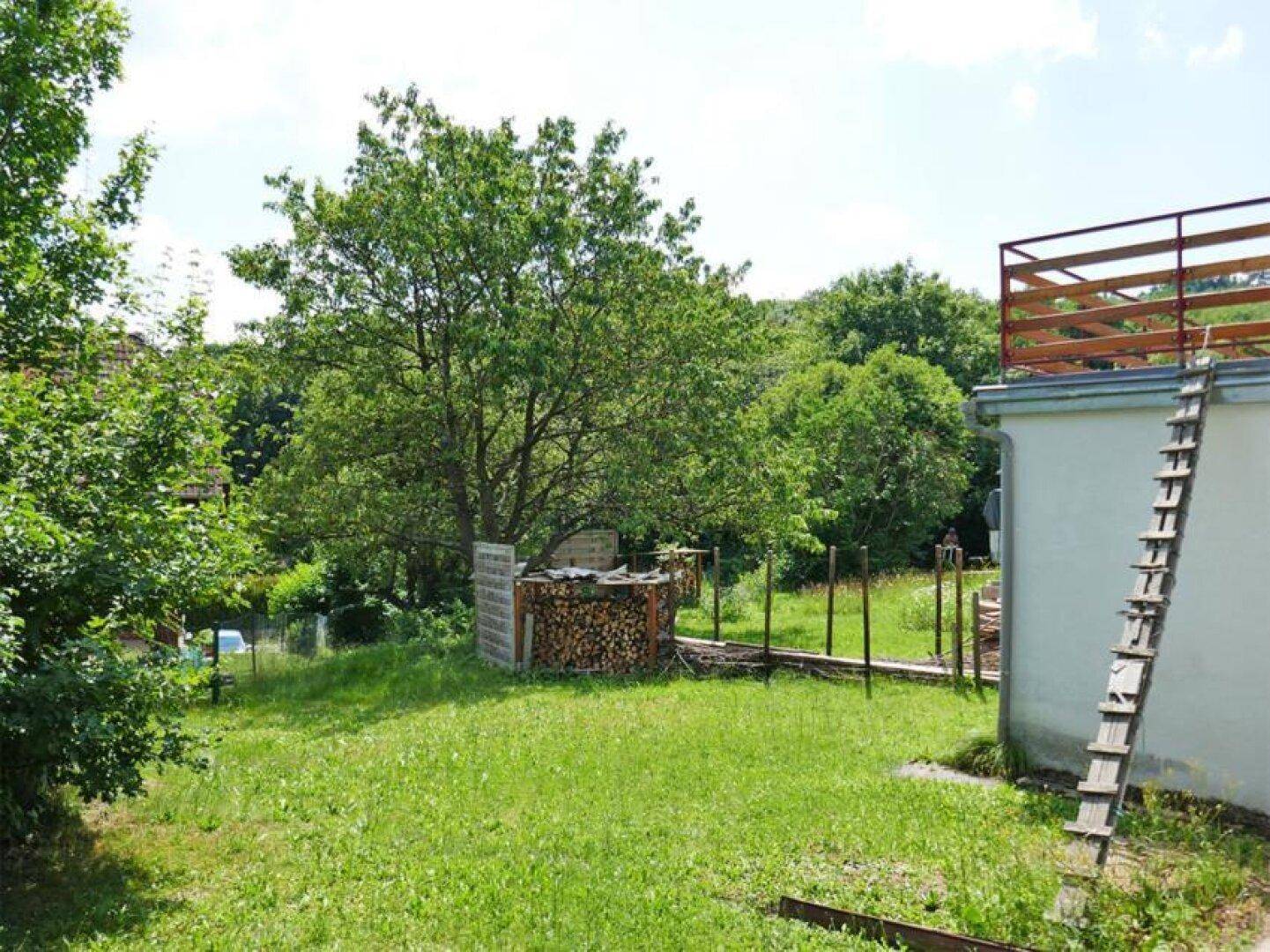 Gartenansicht mit Rasenfläche, Baumbestand, Brennholzstapel und einer Leiter am Haus.