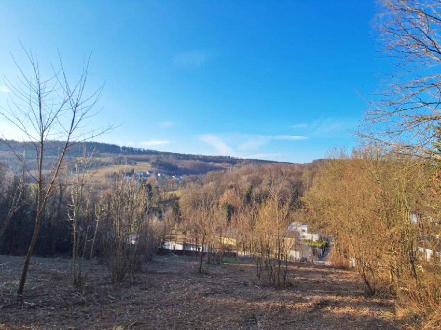 Weitläufiger Blick über das hügelige Gelände mit vereinzelten Häusern und viel Grün.