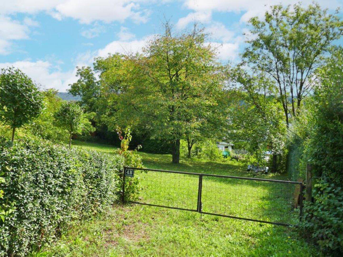 Baugrund auf leichtem Südhang in idyllischer Lage in Tulln-Nähe - Ansicht 3