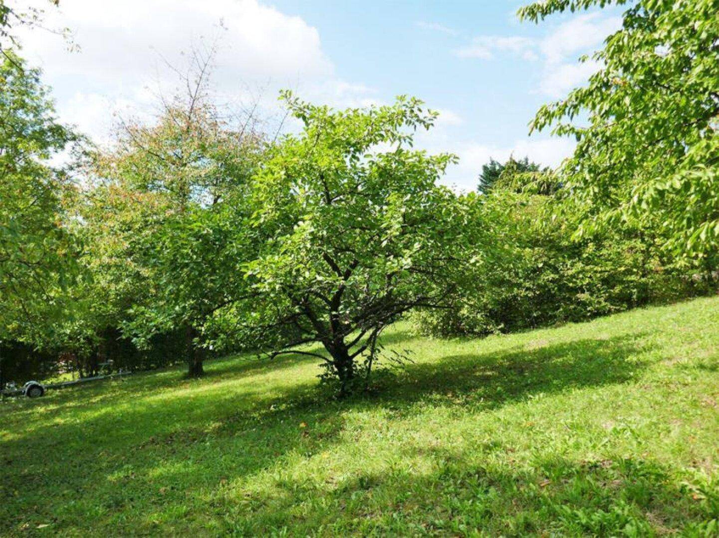 Baugrund auf leichtem Südhang in idyllischer Lage in Tulln-Nähe - Mehr