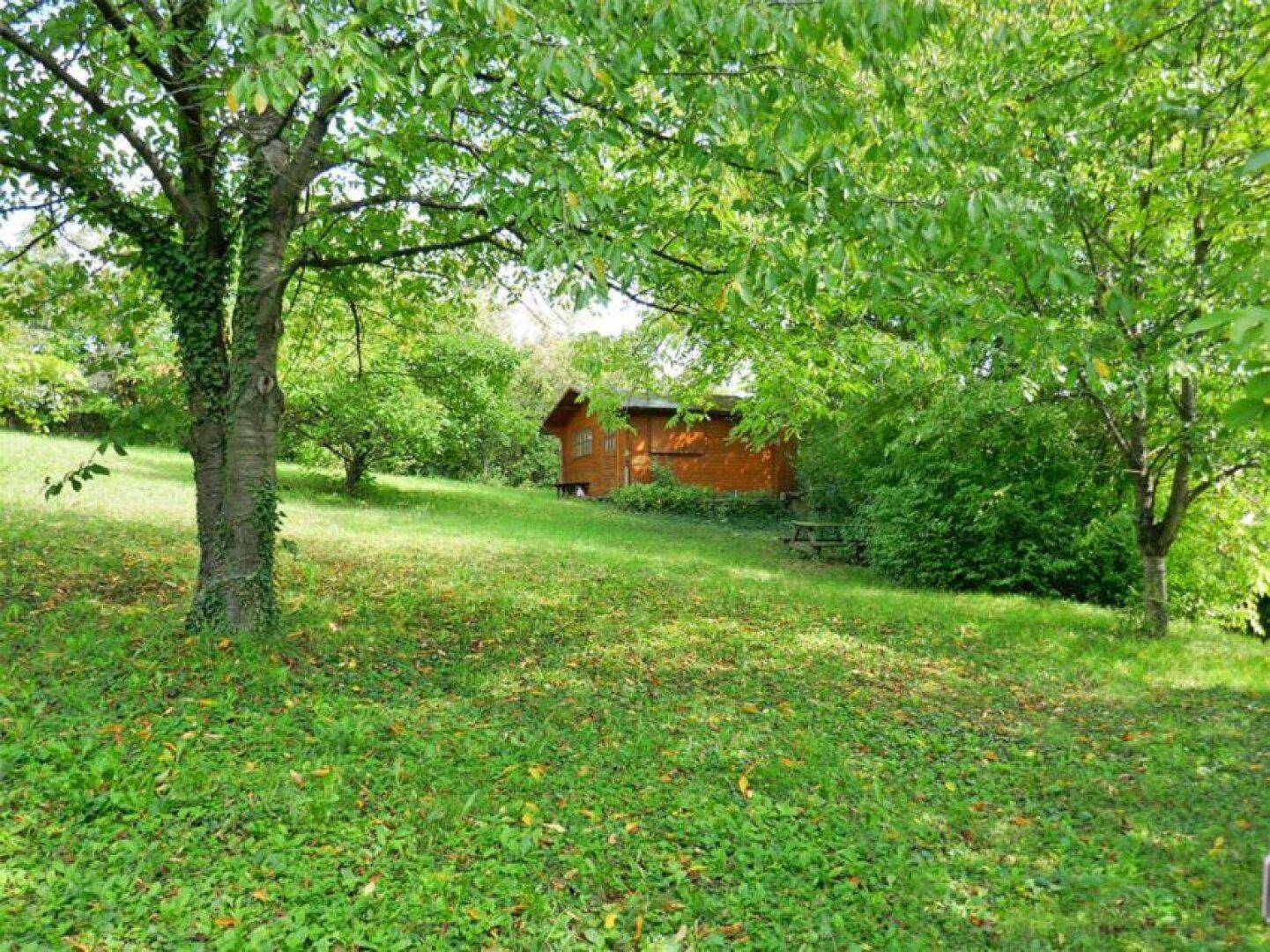 Weitläufiger Gartenbereich mit altem Baumbestand und einem kleinen Holzschuppen im Hintergrund.
