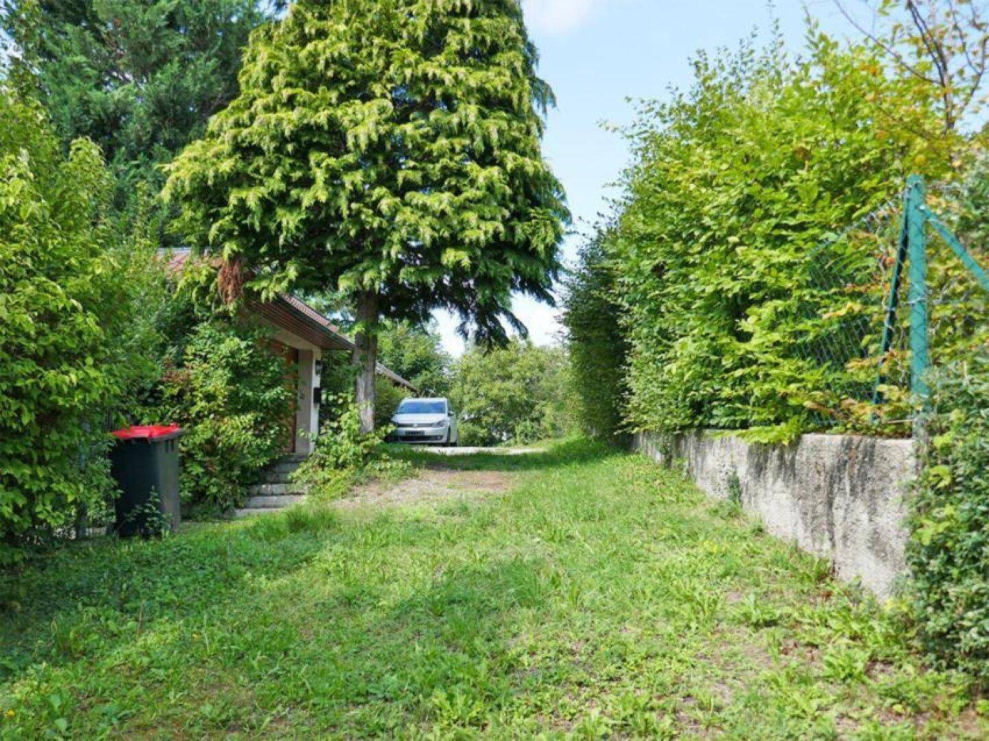 Grüner Zugangsweg zum Grundstück, umgeben von Bäumen und Sträuchern, mit einem Fahrzeug im Hintergrund.