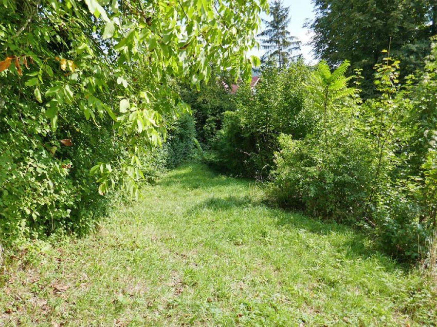 Verwunschener Pfad durch dichte Büsche und Bäume, der zu einem weiteren Teil des Gartens führt.