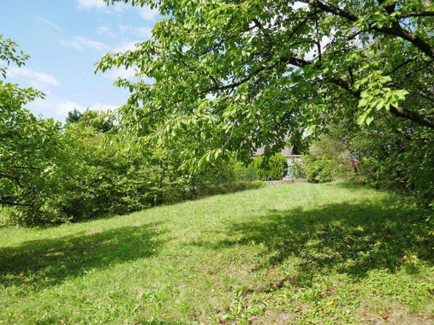 Sonniger Gartenhang mit schattenspendenden Bäumen und Blick auf die umliegende Landschaft.